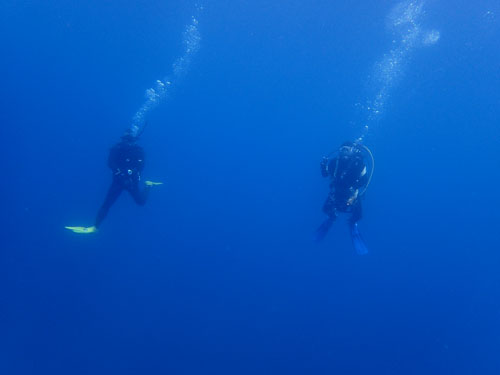 d0164831_17264741.jpg