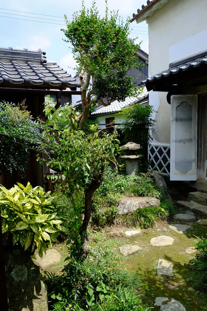 d0250840_13545120.jpg