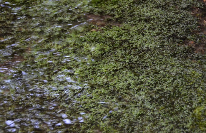 c0202242_10253265.jpg