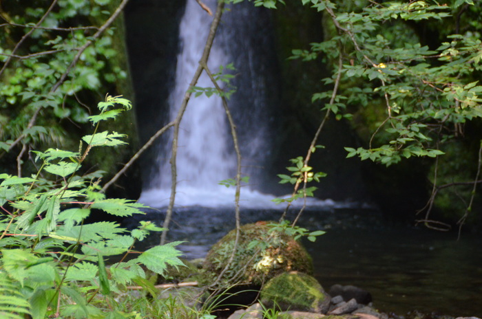 c0202242_1026389.jpg