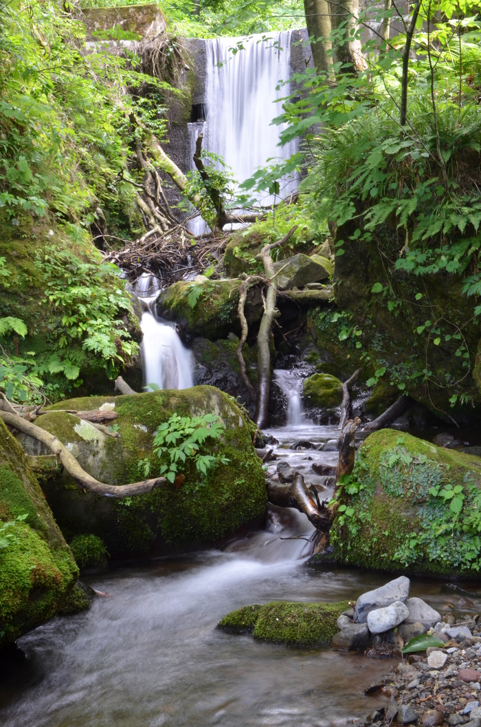 c0202242_10264944.jpg