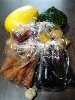 無農薬野菜・第2弾_a0061057_23324522.jpg