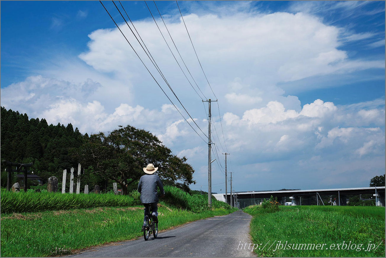 自転車 と きのこ入道雲_e0342158_14102268.jpg