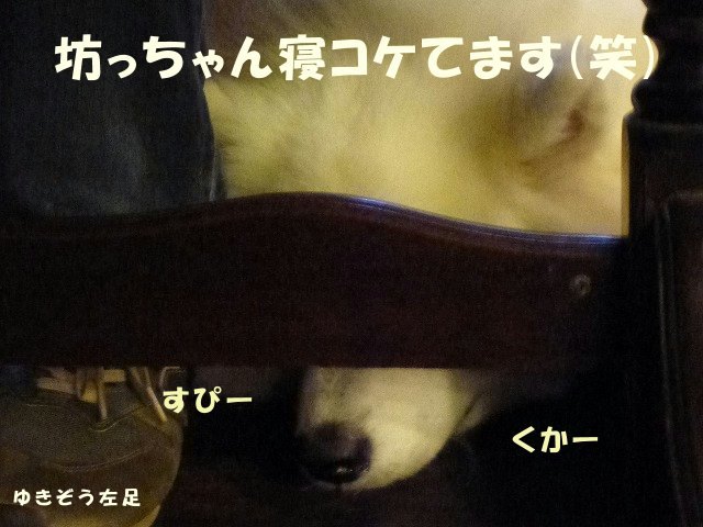 e0176159_17201597.jpg