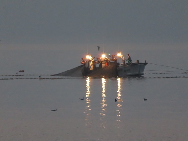 敦賀　無人島　水島_c0346862_20510656.jpg