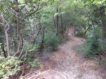 佐和山城_e0033570_08163144.jpg