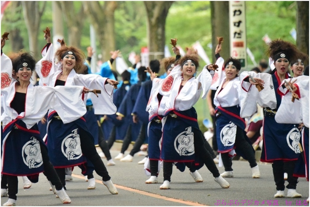 彩夏祭　関八州よさこいフェスタ　2015　（１）夏舞徒_b0104774_22161019.jpg