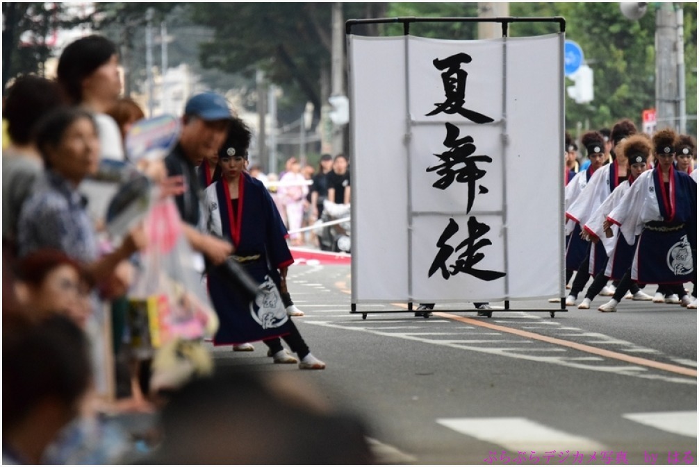 彩夏祭　関八州よさこいフェスタ　2015　（１）夏舞徒_b0104774_22205006.jpg