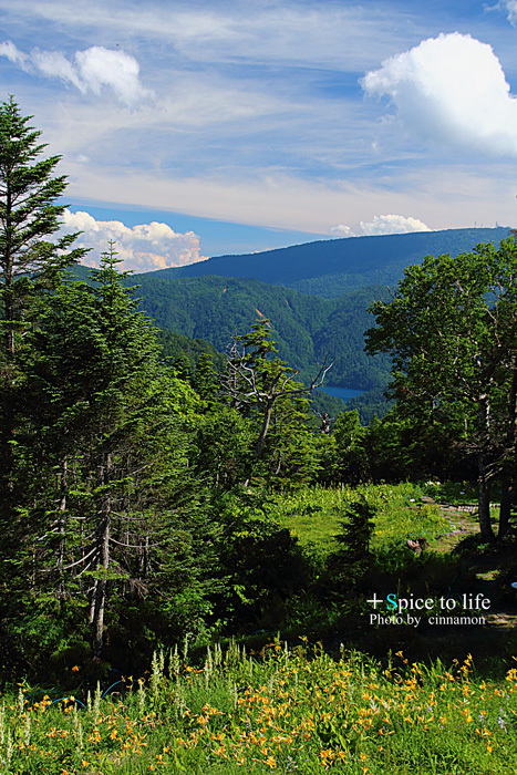 I love NAGANO(志賀高原編)_f0326278_23154456.jpg