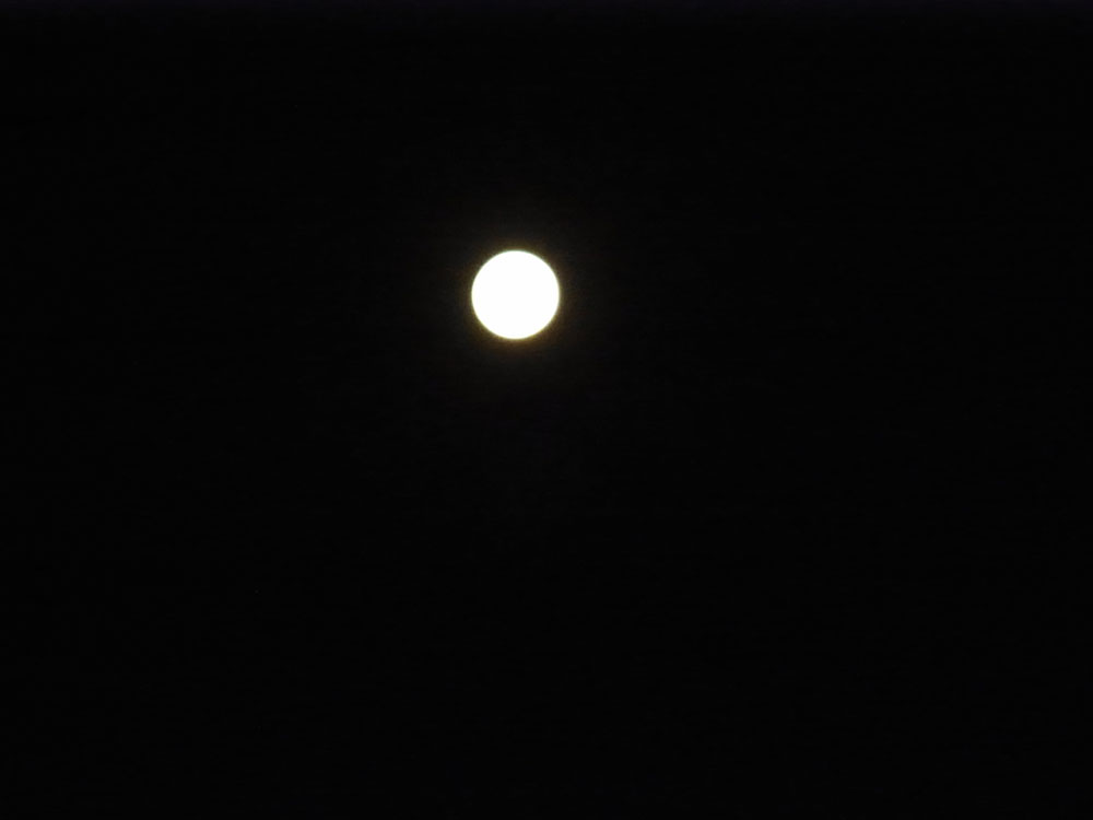ブルー・ムーン_d0127182_16551655.jpg