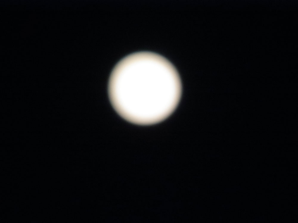 ブルー・ムーン_d0127182_1656469.jpg