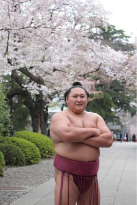境川部屋と名古屋場所と私。_e0205684_2551312.jpg