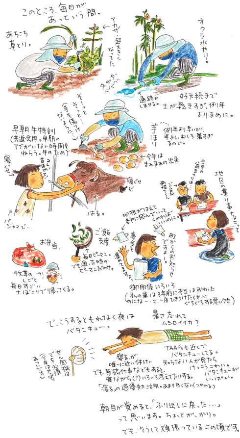夏らしき日々_f0236291_10294277.gif