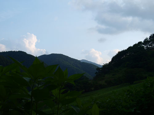夏らしき日々_f0236291_10325867.jpg