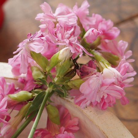 オカムラサキのお花を収穫_a0292194_1827524.jpg