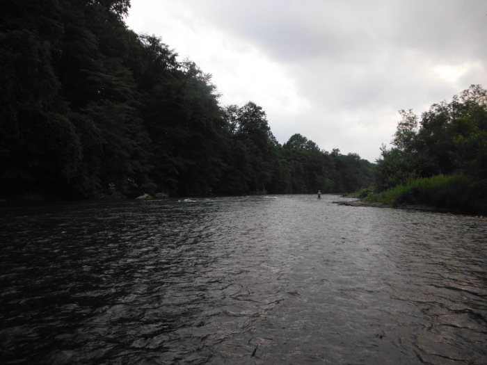 f0348294_17254680.jpg
