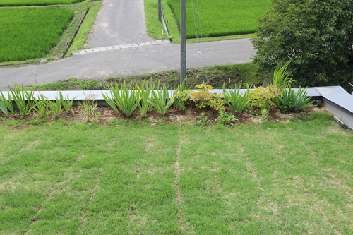 e0054299_12952.jpg