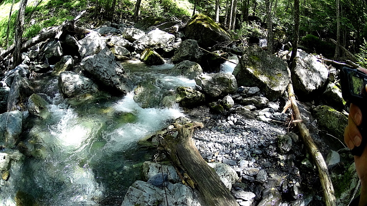 c0339900_12132349.jpg