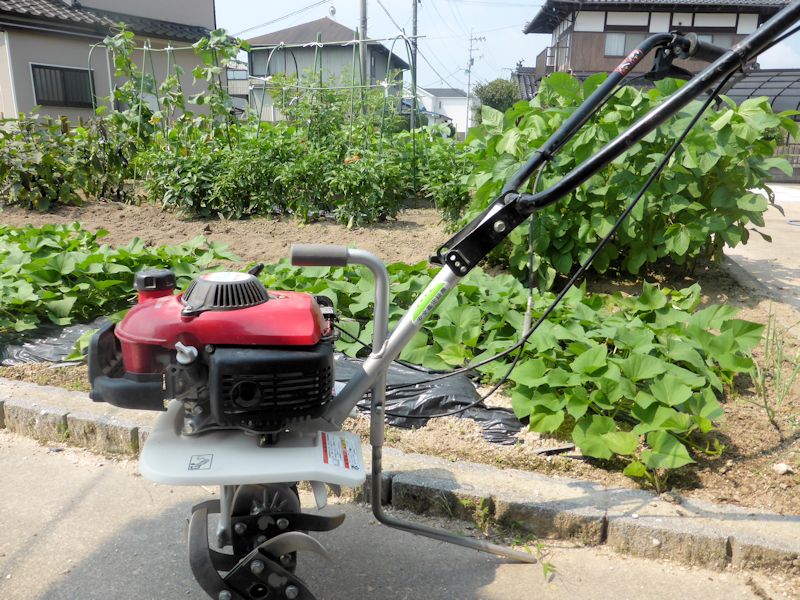 朝から畑仕事・・・　暑くてミニマム作業で終了_b0057612_1621477.jpg