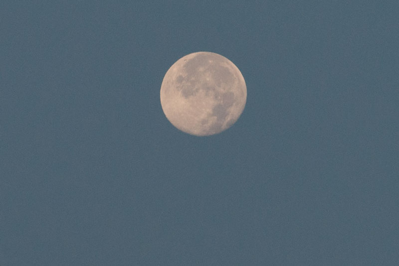 a0278914_557381.jpg