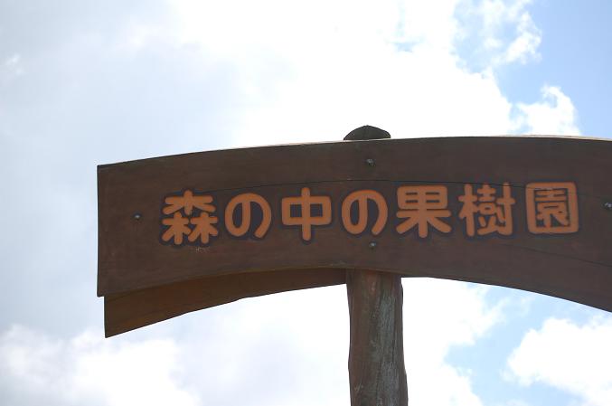 8月2日はハニーの日なのです～♡_d0253014_8273799.jpg