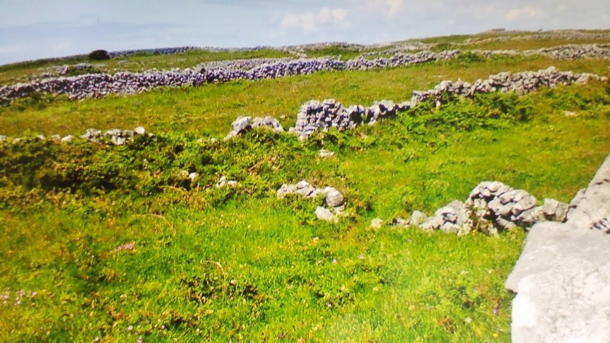 b0228416_17230412.jpg