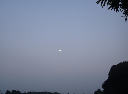 a0315918_11133535.jpg