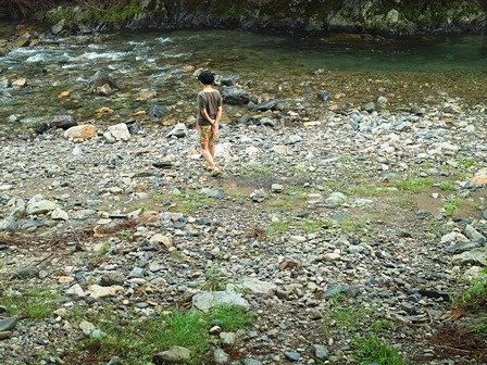 濃い山霧のオクヤマ　　　　　　朽木小川・気象台より_c0044819_641818.jpg