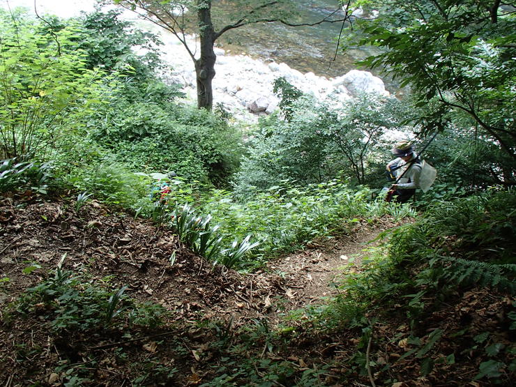 d0172227_15746.jpg