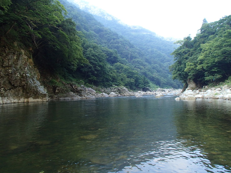 d0172227_175514.jpg