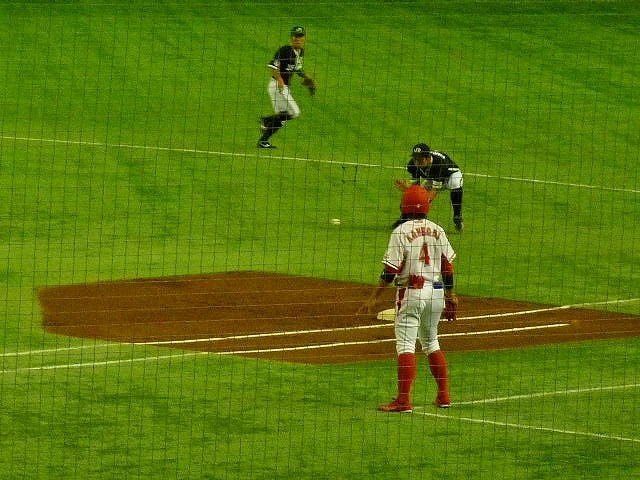 b0166128_1010372.jpg