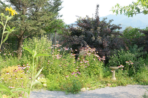 c0107129_2240815.jpg