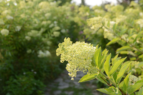 c0107129_22421718.jpg