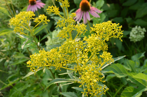 c0107129_22445173.jpg
