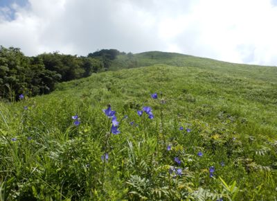 c0161233_6411425.jpg