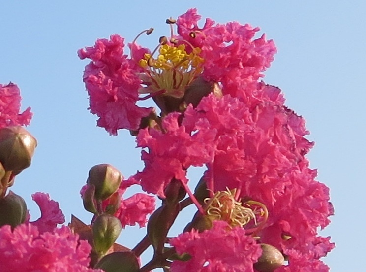 b0301236_13133042.jpg