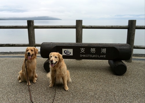 アジ遠征恵庭と道南の旅 ５日目(支笏湖～上ノ国）_d0033336_22505883.jpg