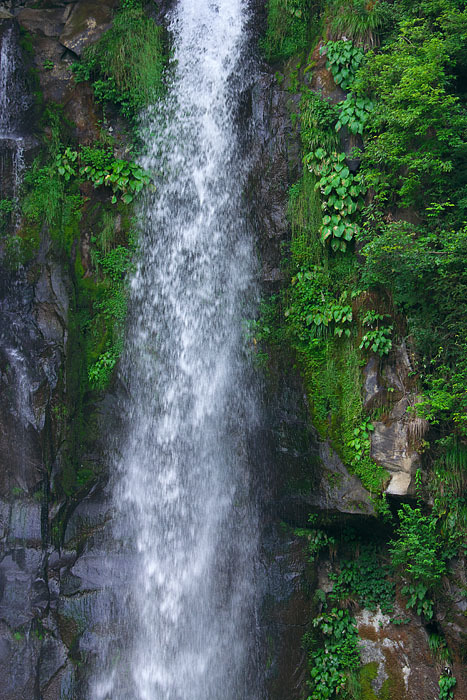 c0067040_22333270.jpg