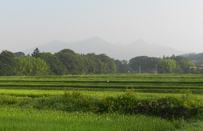 e0172950_21242972.jpg