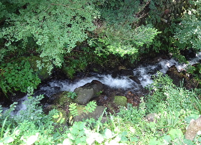 e0172950_21253728.jpg