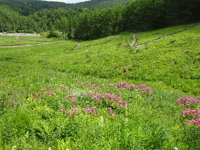 e0172950_213364.jpg