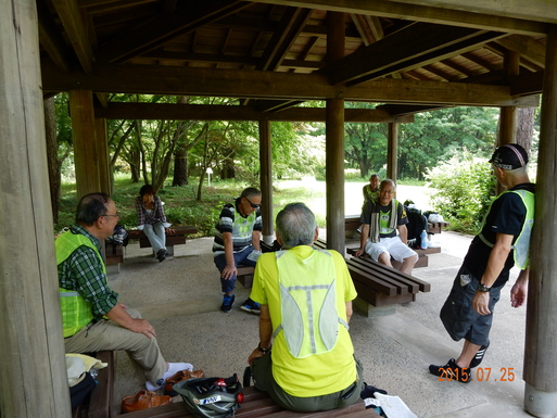 第２０３回「武蔵丘陵森林公園サイクリング」　　　　_c0061853_14143589.jpg