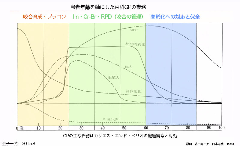 職業寿命と歯科臨床の推移_f0103459_938267.jpg