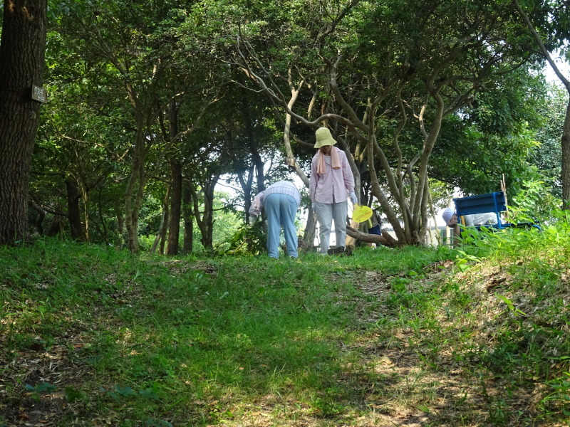 c0108460_18401238.jpg
