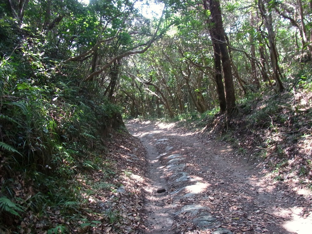 2014/08/25　式根島 Day2 （足地山　神引山）　03_d0233770_23161388.jpg