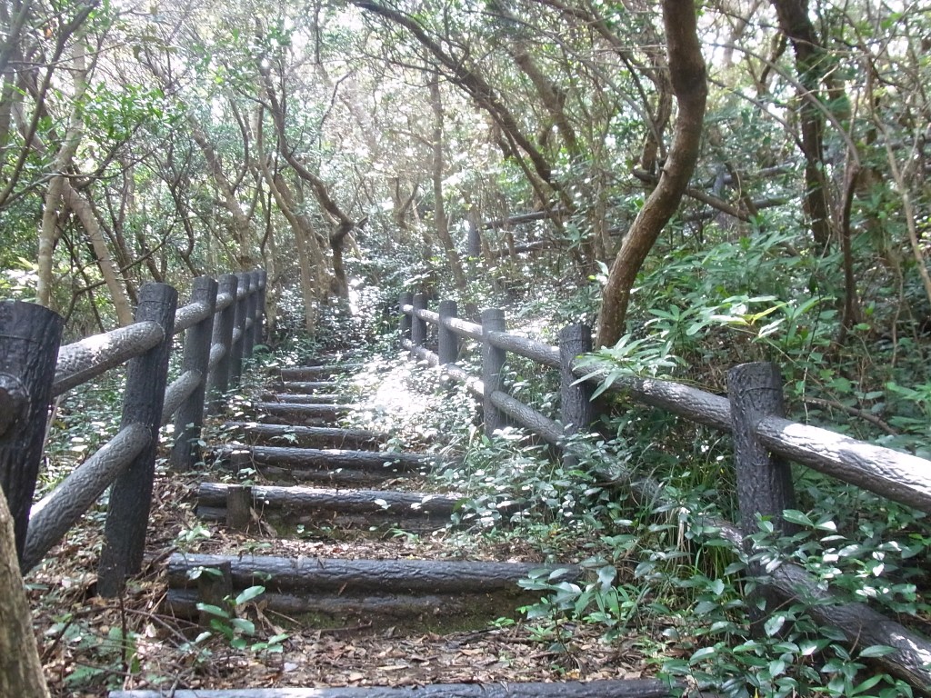 2014/08/25　式根島 Day2 （足地山　神引山）　03_d0233770_23484214.jpg