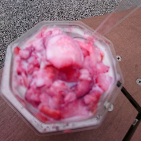 b0242873_01451466.png