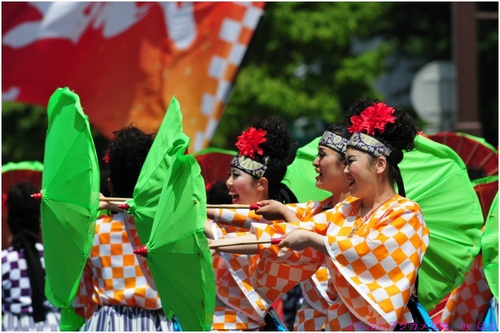 浦和よさこい　2015　（2）江戸の華・所沢風炎祇神伝～雅～_b0104774_00055396.jpg