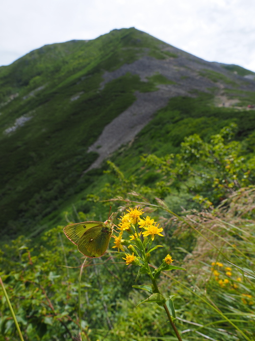 e0305074_1271225.jpg