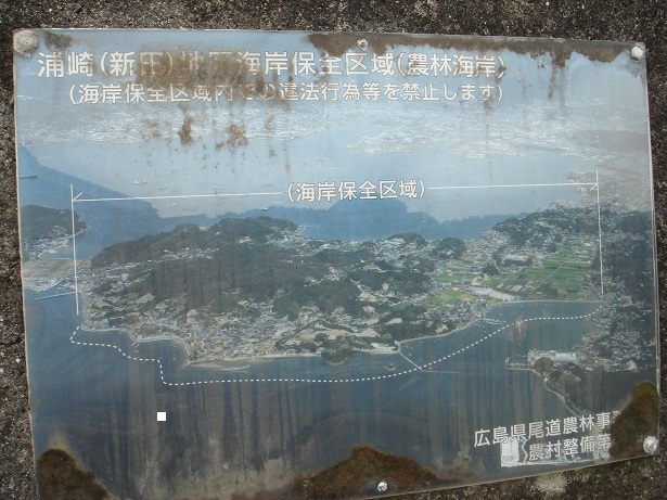 e0060485_21485728.jpg